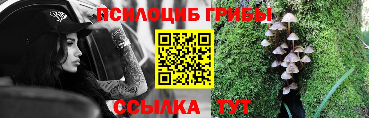 Галлюциногенные грибы Magic Shrooms Лабытнанги