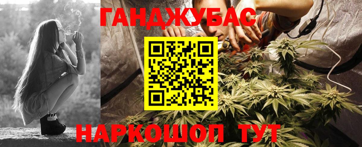 Каннабис планчик Лабытнанги